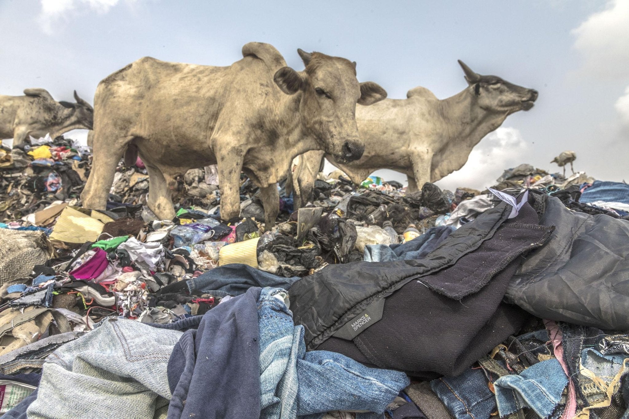 Why should you shop vintage fashion instead of fast fashion? - Postered