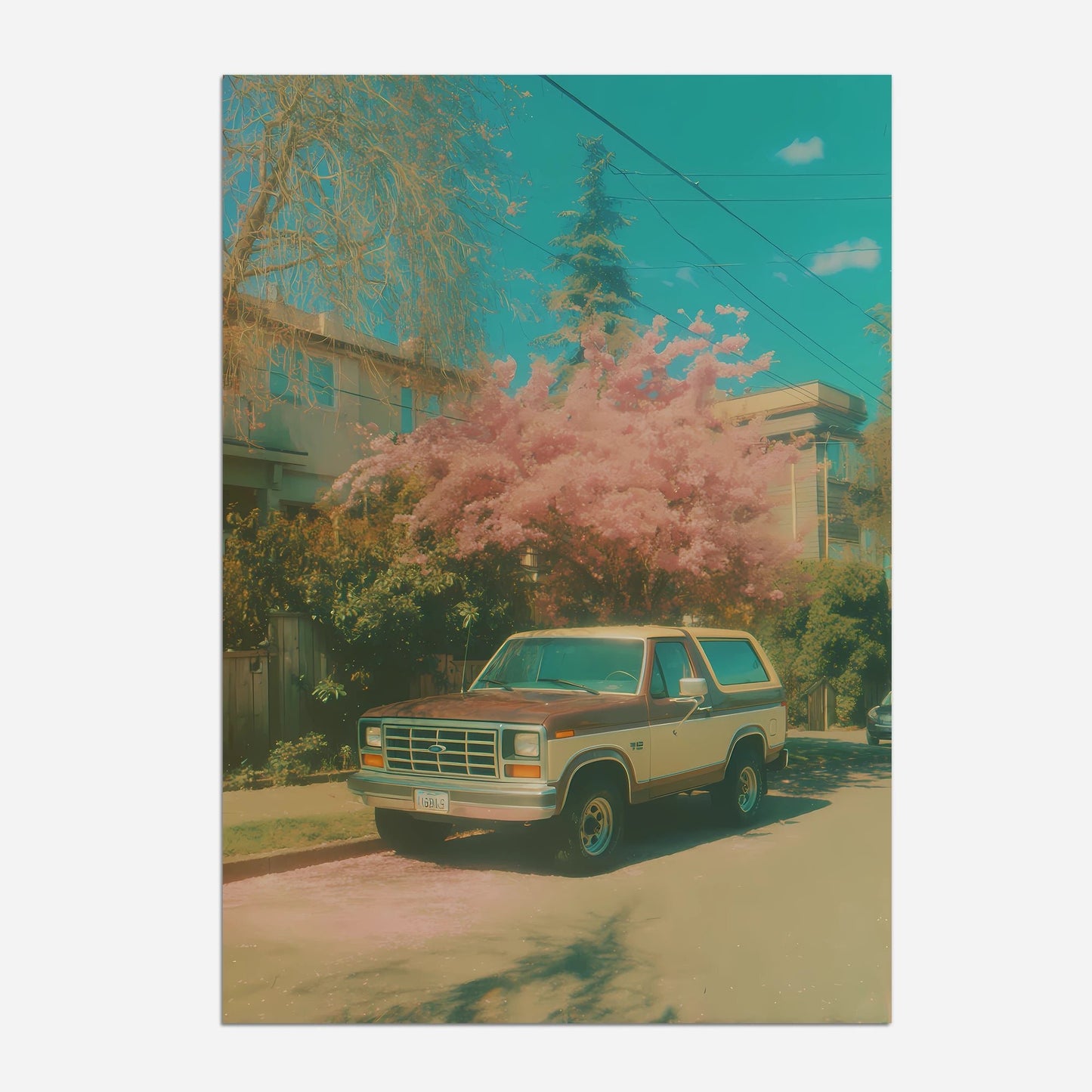 Ford Bronco - The House Of BLOC