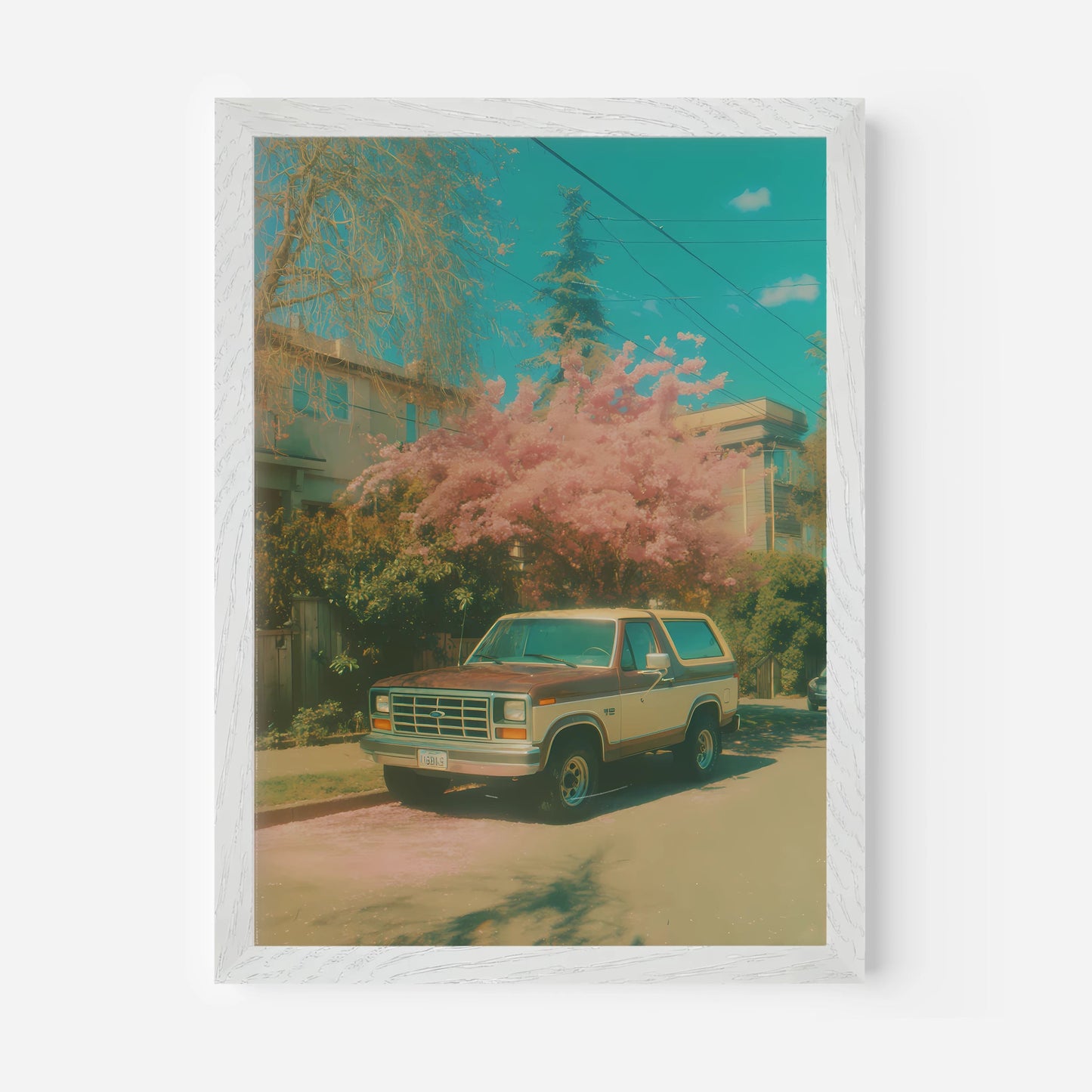 Ford Bronco - The House Of BLOC