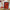 Magnetic Modular Bobbin Plastic Frame - Blood Orange - 5x7 Inch