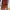 Magnetic Modular Bobbin Plastic Frame - Blood Orange - 5x7 Inch