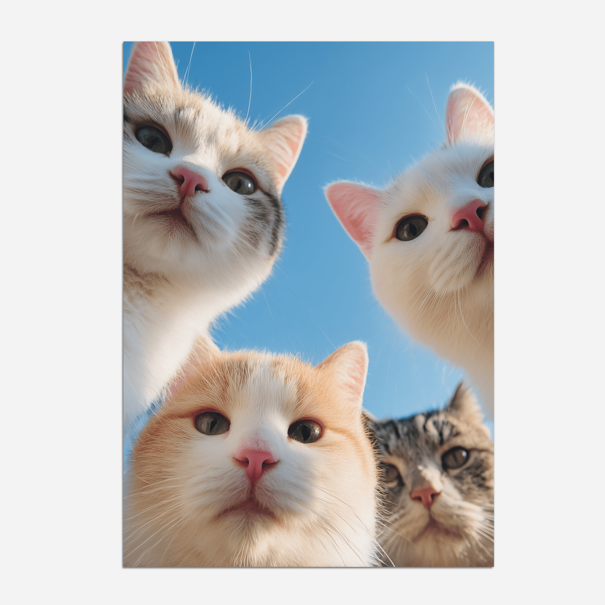 Feline Squad - The House Of BLOC