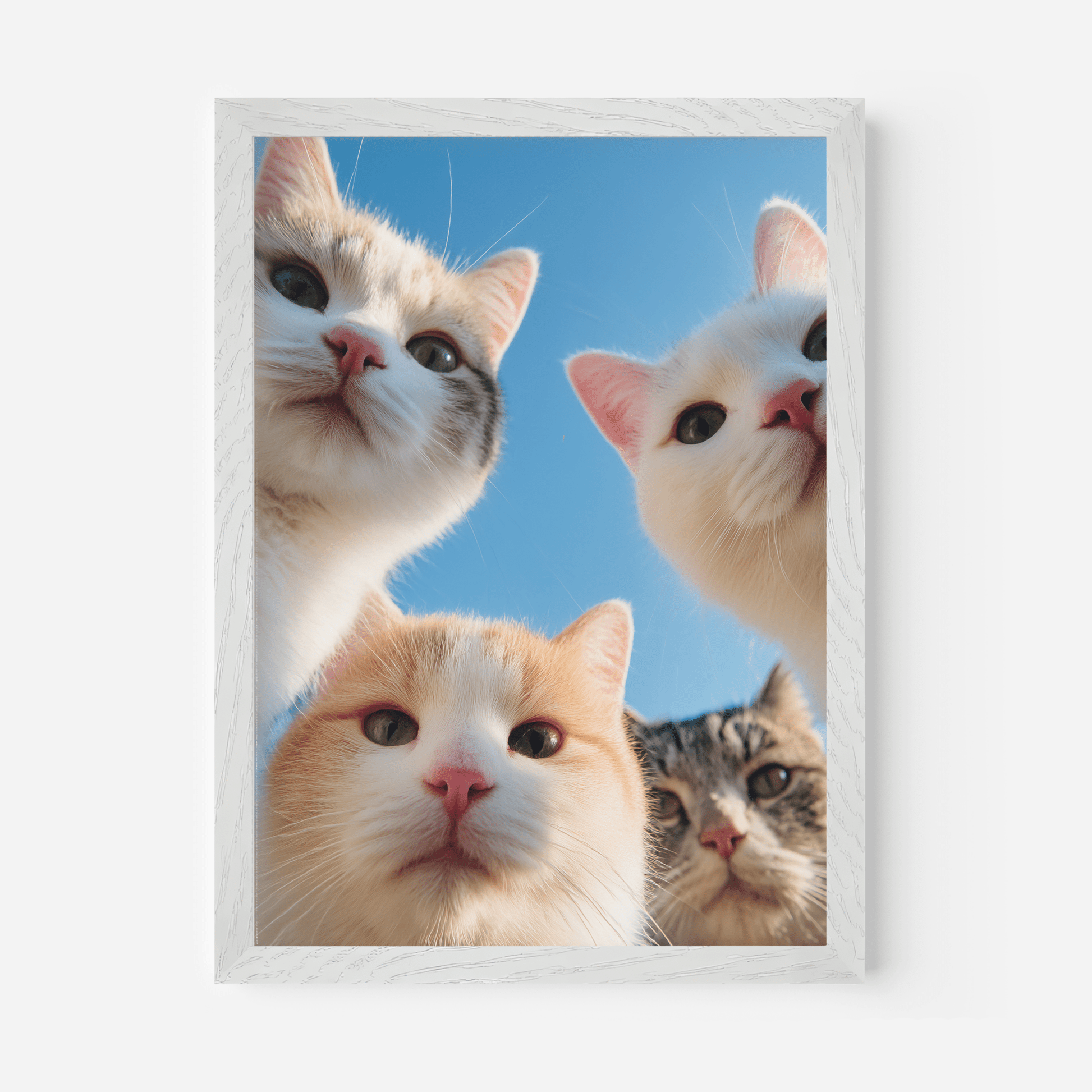 Feline Squad - The House Of BLOC